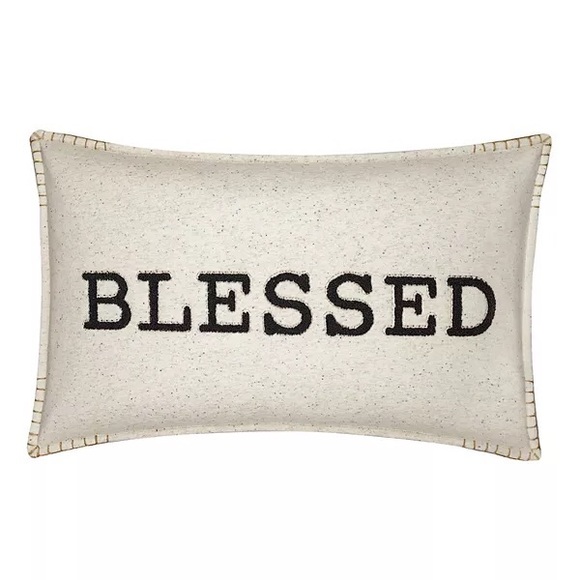 BLESSED feather throw pillow from kohls - Picture 1 of 5